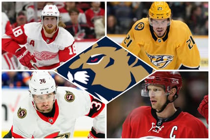 Florida panthers