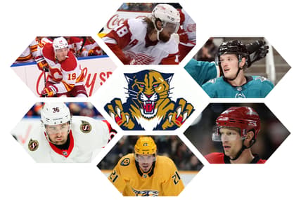 Florida panthers