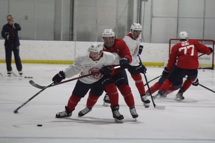 Florida Panthers development camp