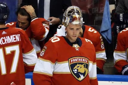 Florida panthers