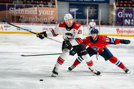Florida panthers