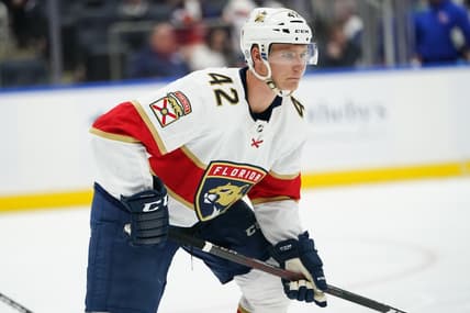 Florida panthers