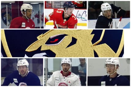 Florida panthers