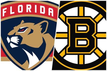 Panthers bruins