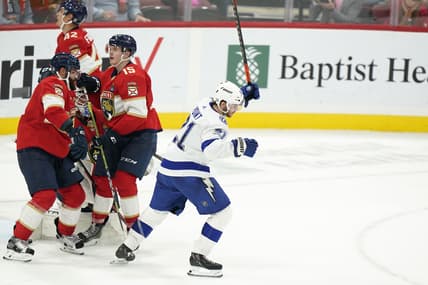 Florida panthers