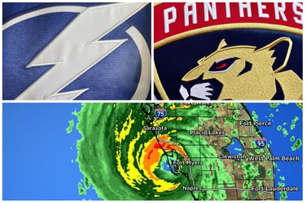 Florida panthers
