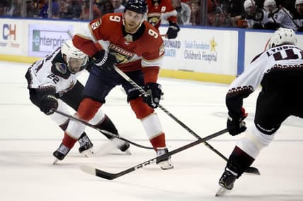 Florida panthers