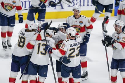 Florida panthers