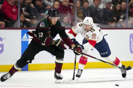 Florida panthers