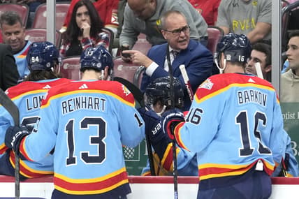 Florida panthers