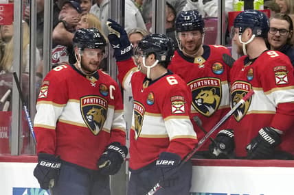 Florida panthers