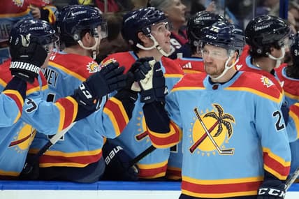 Florida panthers