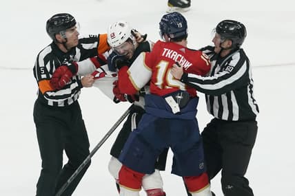 Florida panthers