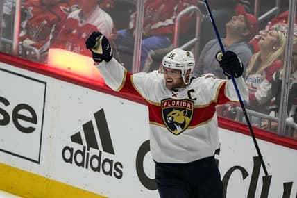 Florida panthers