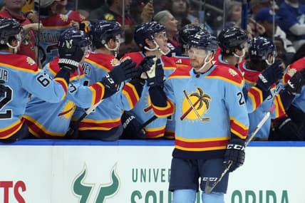 Florida panthers
