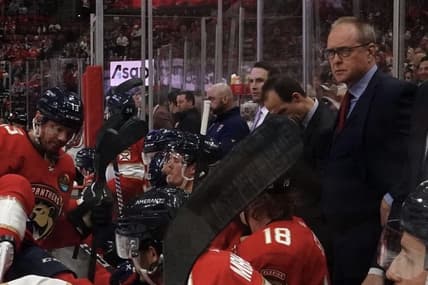 Florida panthers