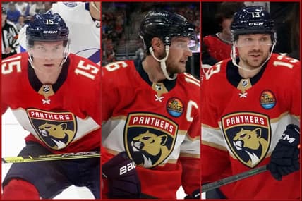 Florida panthers
