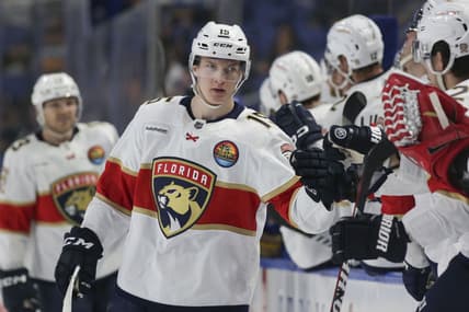 Florida panthers