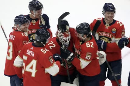 Florida panthers