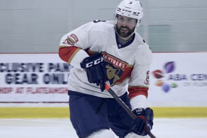 Florida panthers