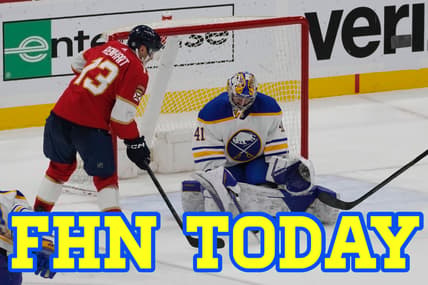 Pittsburgh penguins