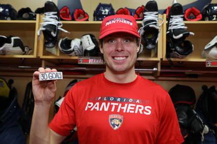 Florida panthers
