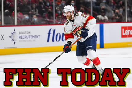 Florida panthers