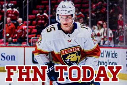 Florida panthers