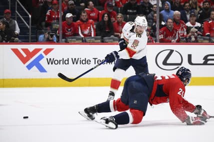 Florida panthers