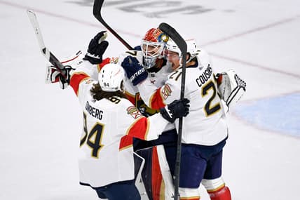 Florida panthers