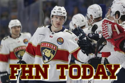 Florida panthers