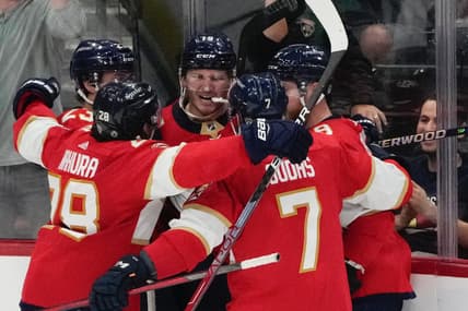 Florida panthers