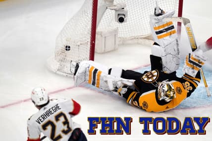 Panthers bruins playoff