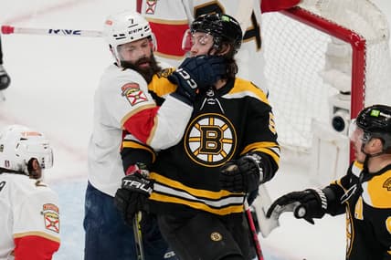 Panthers bruins