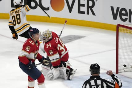 Florida panthers alex lyon