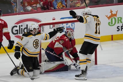 Panthers bruins