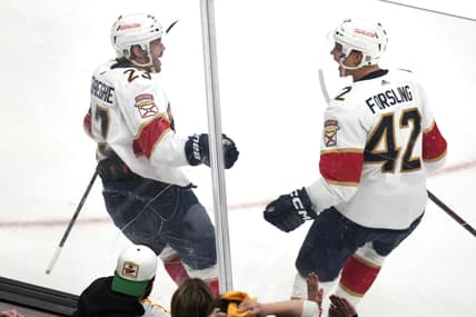 Florida panthers