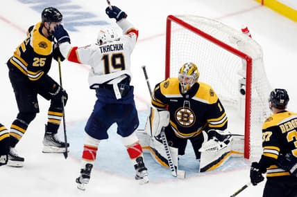 Florida panthers