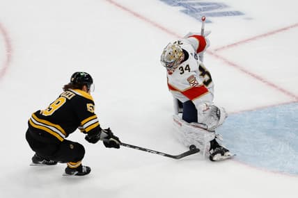 Florida panthers lyon