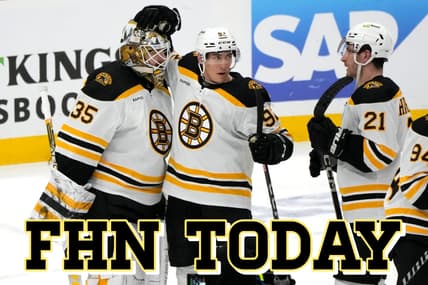 Panthers bruins