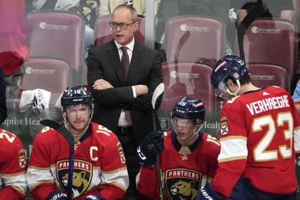 Panthers bruins