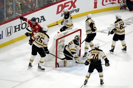 Florida panthers