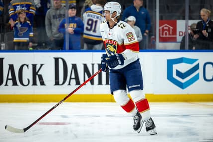Florida panthers