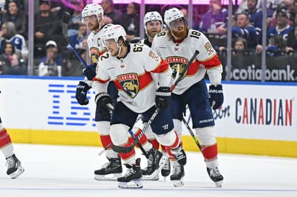 Florida panthers