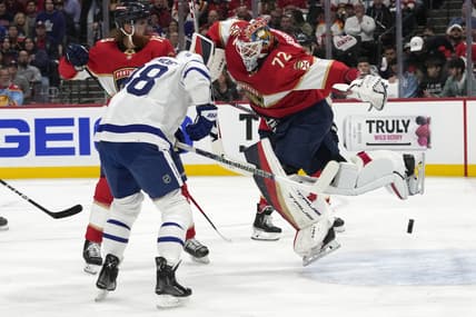 Bobrovsky