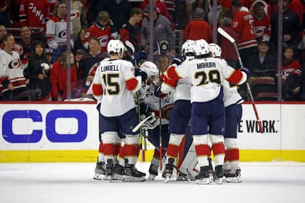 Florida panthers