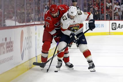 Florida panthers