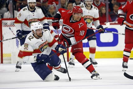 Florida panthers