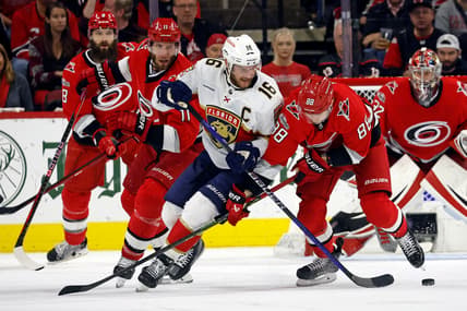 Florida panthers