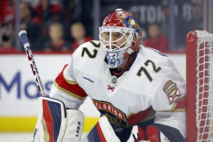 Florida panthers